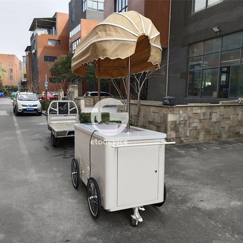 brown awning ice cream cart with freezer